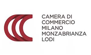 camera-commercio.png